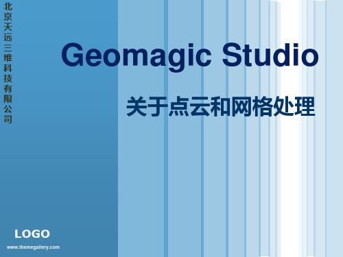 Geomagic点云网格处理