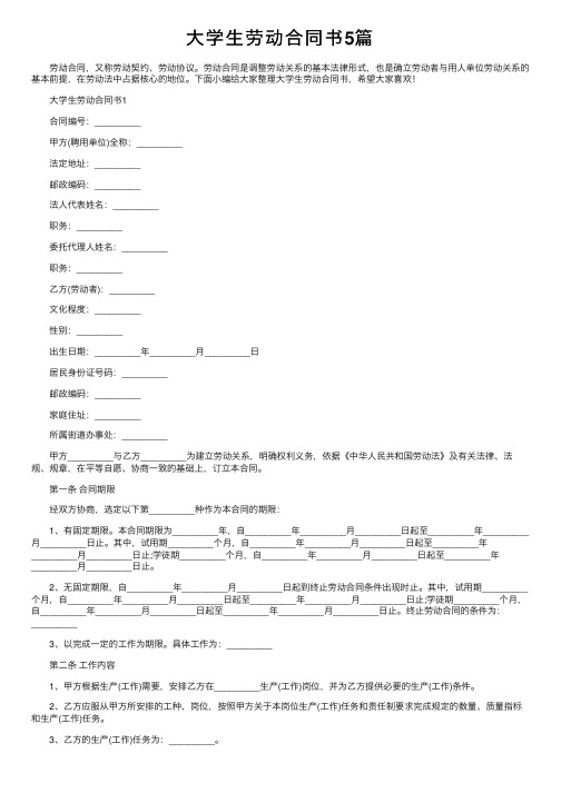 大学生劳动合同书5篇