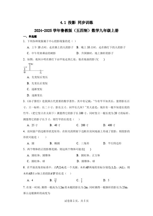 4.1投影+同步训练2024-2025学年鲁教版(五四制)数学九年级上册