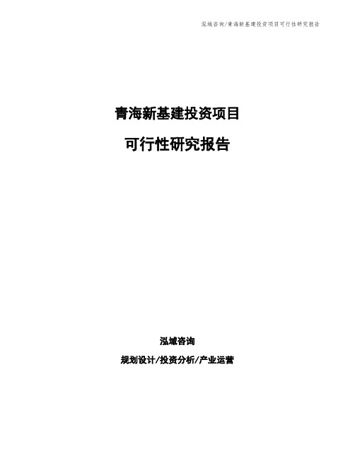 青海新基建投资项目可行性研究报告