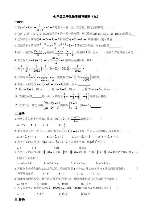 七年级尖子生数学辅导资料(9)