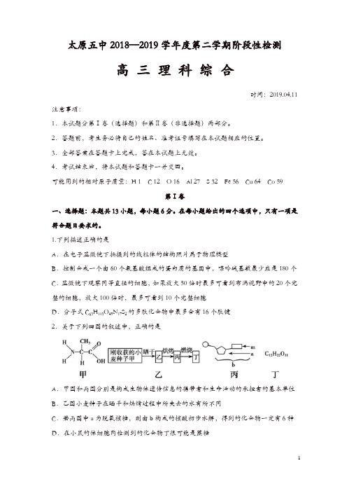 山西省太原市第五中学2019届高三下月考(4月)理科综合试卷及答案