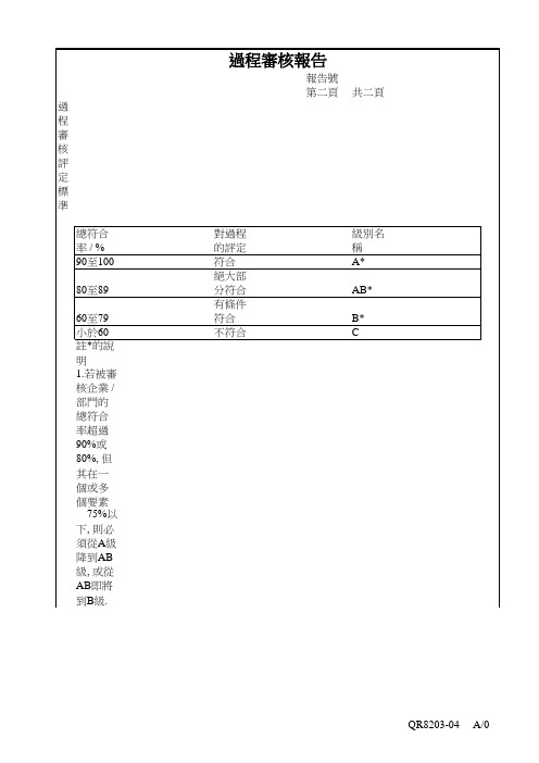 过程审核报告