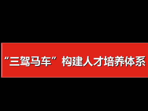 三驾马车”构建人才培养体系精品资料