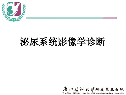 泌尿系统影像学诊断-精品医学课件