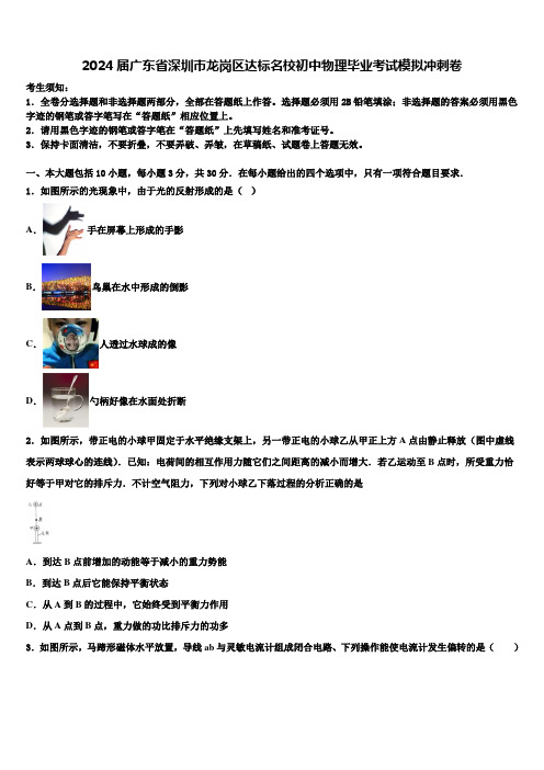 2024届广东省深圳市龙岗区达标名校初中物理毕业考试模拟冲刺卷含解析