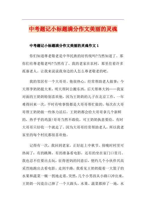 中考题记小标题满分作文美丽的灵魂