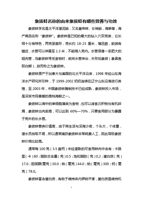 象拔蚌名称的由来 象拔蚌有哪些营养与功效