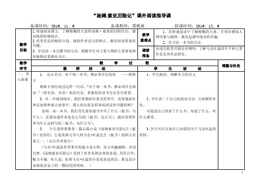 汤姆索亚历险记的阅读指导课