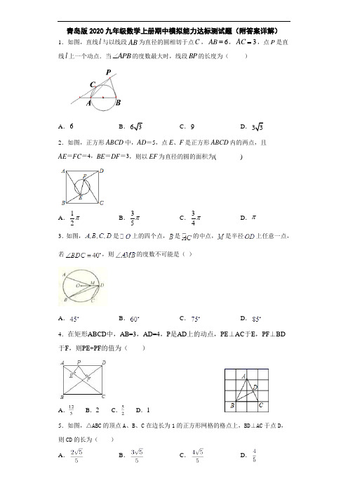 青岛版2020九年级数学上册期中模拟能力达标测试题(附答案详解)