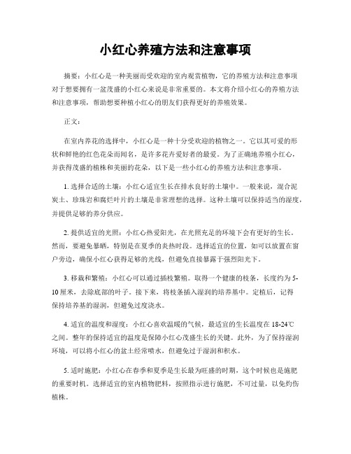 小红心养殖方法和注意事项