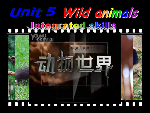 牛津译林版8A_Unit5_integrated_skills课件(共15张PPT)