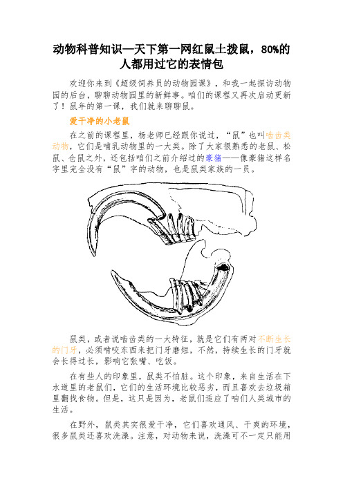 动物科普知识—天下第一网红鼠土拨鼠,80%的人都用过它的表情包