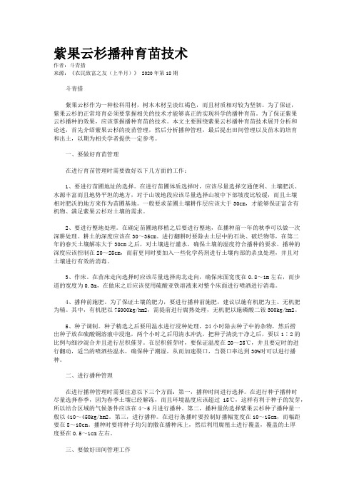 紫果云杉播种育苗技术