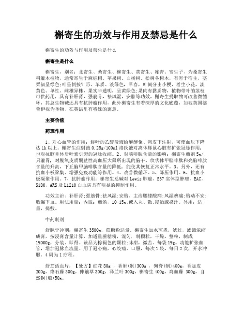 槲寄生的功效与作用及禁忌是什么