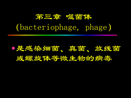 第3.4章噬菌体细菌遗传与变异