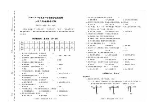 六年级上册科学试题-期末考试试卷和答案  教科版  2018-2019第一学期深圳市福田区