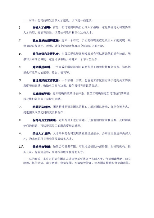 小公司研发团队人才建设建议