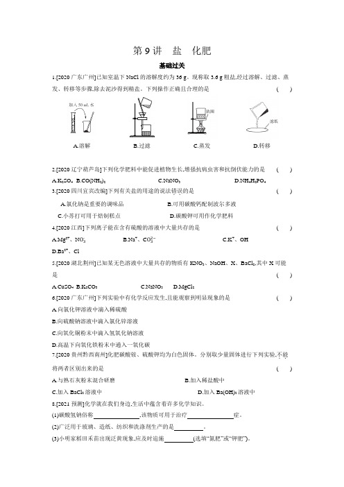 2021年中考化学复习  第9讲盐化肥
