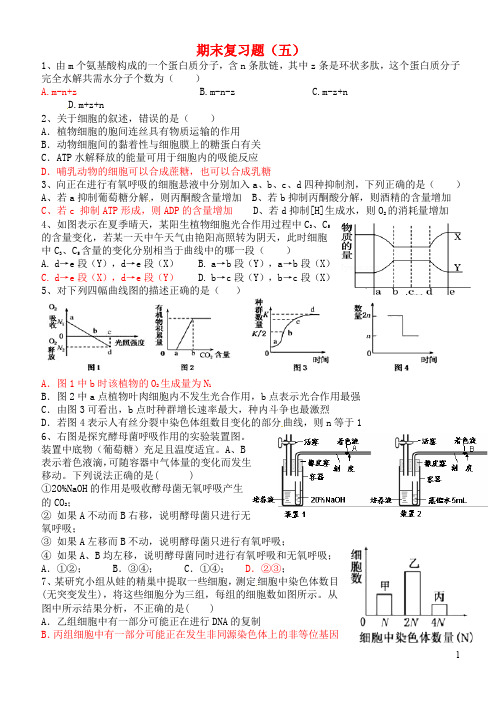 山东省济南市高三生物期末复习题5