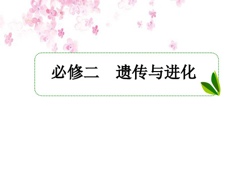 高考一轮生物复习课件(人教版)第1讲 孟德尔的豌豆杂交实验(一)