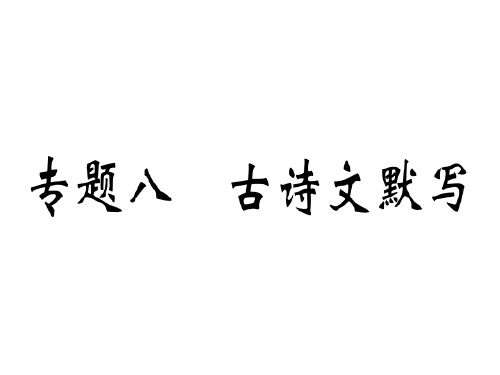 秋八年级语文人教版武汉专版课件：专题八.pptx(共10张PPT)