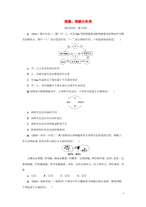 新坐标2016版高考生物二轮复习题型专项练2图像、图解分析类