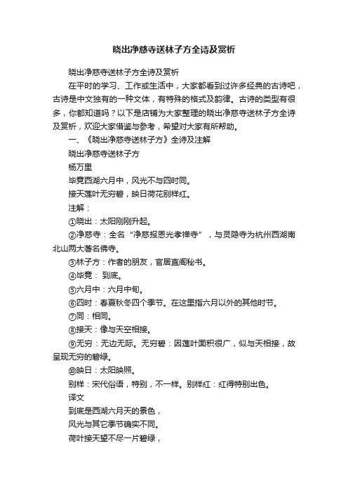 晓出净慈寺送林子方全诗及赏析