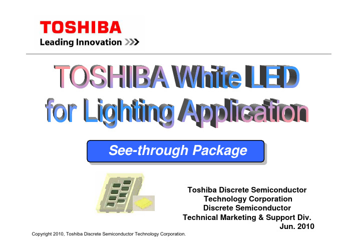 TOSHIBA White LED for Lighting Application (See-through package)--100607