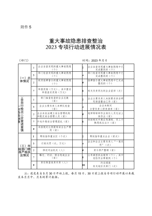 重大事故隐患排查整治2023专项行动进展情况表