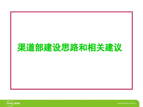 渠道部建设思路与相关建议(精品课件)
