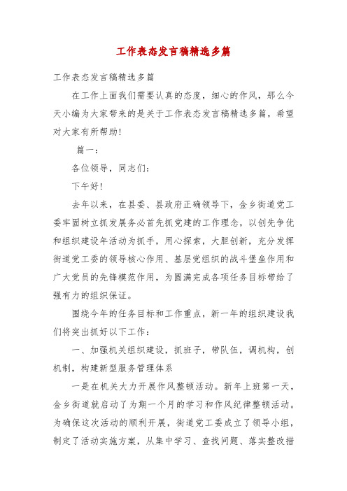 精编工作表态发言稿精选多篇(四)