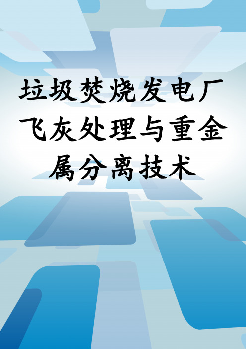 垃圾焚烧发电厂飞灰处理与重金属分离技术