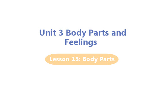 冀教版七年级上册英语Unit 3 Body Parts and Feelings Lesson 13