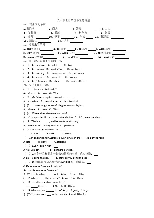 新版pep小学英语六年级上册unit5 what does he do单元练习题