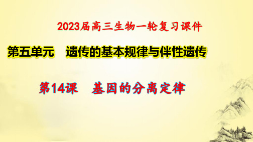 2023届高三生物一轮复习课件 5-1 基因的分离定律