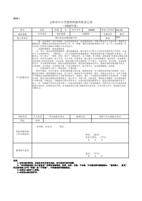 中小学教师师德考核登记表