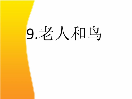 四年级下册语文课件—9.老人和鸟 ▎冀教版 (共18张PPT)