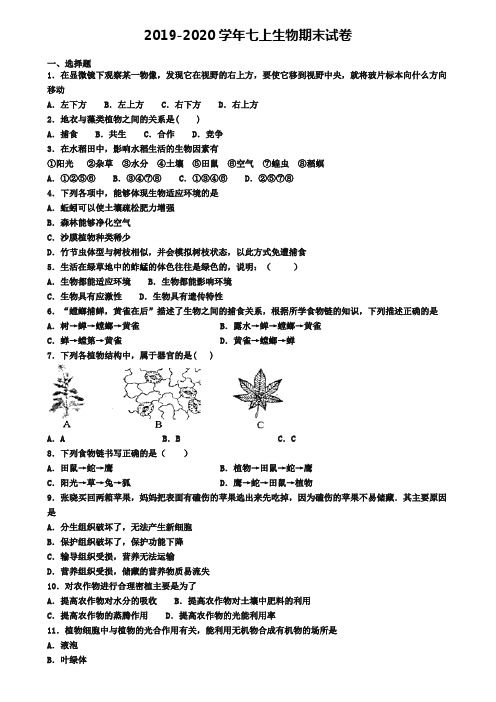 ┃试卷合集4套┃2020年上海市宝山区生物七年级(上)期末调研模拟试题