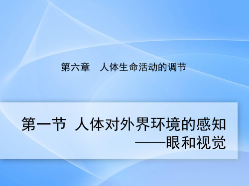 人教版七年级生物下册《人体对外界环境的感知-眼和视觉》优质教学课件