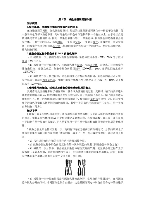 人教课标版高中生物必修2第2章《减数分裂和受精作用》知识梳理