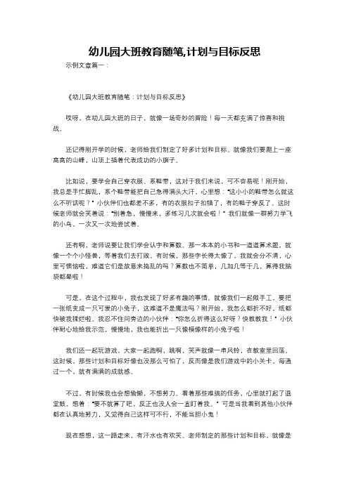 幼儿园大班教育随笔,计划与目标反思