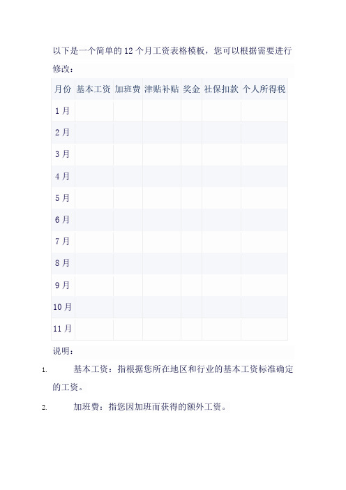 个人 12个月工资表格