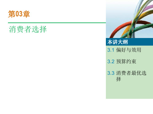 宏观经济学第03章 消费者选择