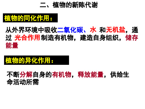 九年级科学植物的新陈代谢新陈代谢(201911整理)