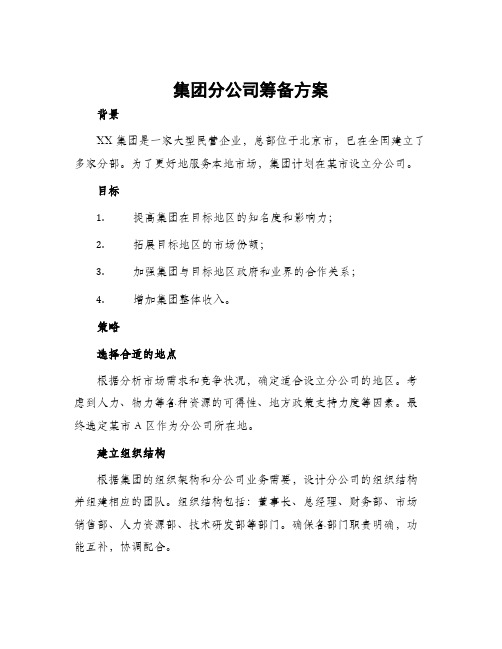 集团分公司筹备方案