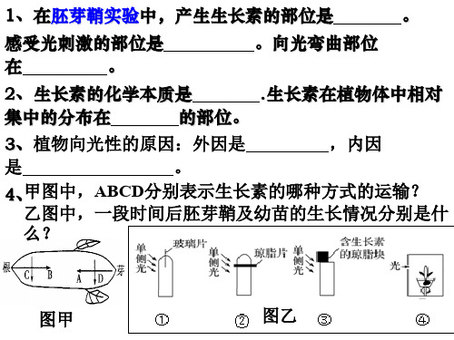 人教版生物必修三3.2生长素的生理作用