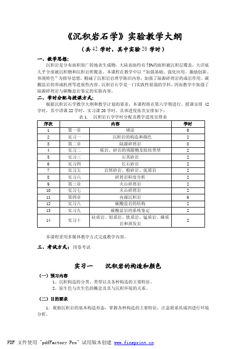 沉积岩石学实习