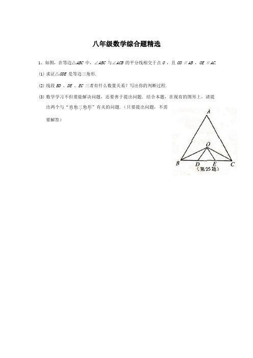 2013-2014学年苏教版八年级上数学期末复习：精选综合题