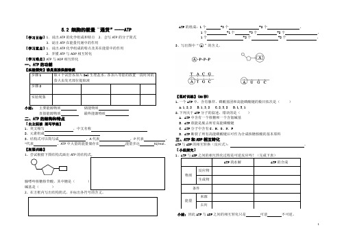 能量“通货”——ATP